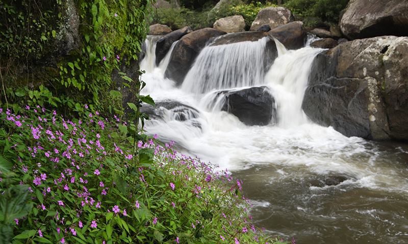 นครนายก, top 22+ ที่เที่ยวนครนายก 2567 ไปเช้าเย็นกลับ adventure ที่เที่ยวเปิดใหม่ น้ำตก คาเฟ่