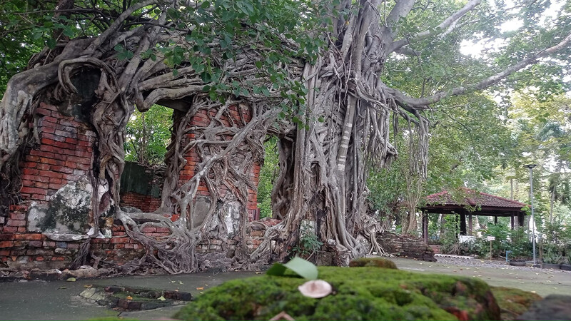 นครนายก, top 22+ ที่เที่ยวนครนายก 2567 ไปเช้าเย็นกลับ adventure ที่เที่ยวเปิดใหม่ น้ำตก คาเฟ่