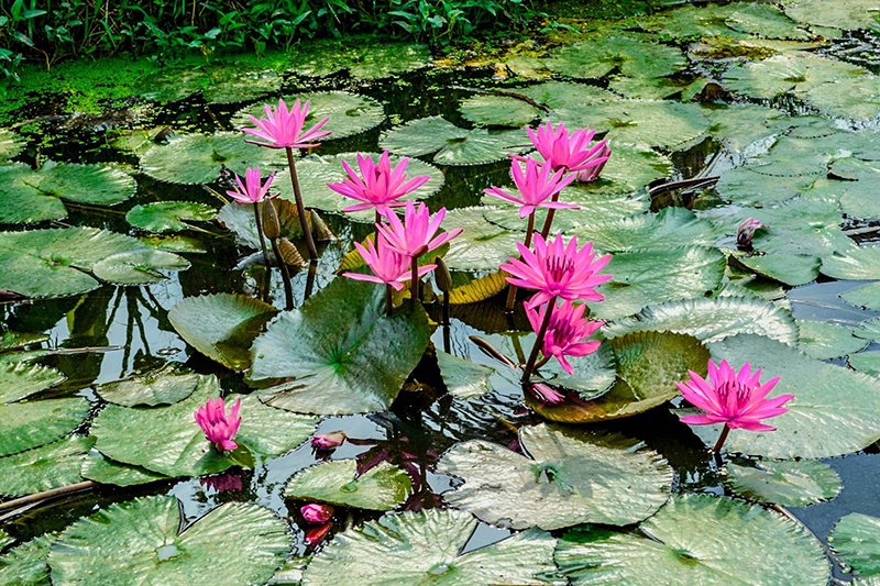 นครนายก, top 22+ ที่เที่ยวนครนายก 2567 ไปเช้าเย็นกลับ adventure ที่เที่ยวเปิดใหม่ น้ำตก คาเฟ่