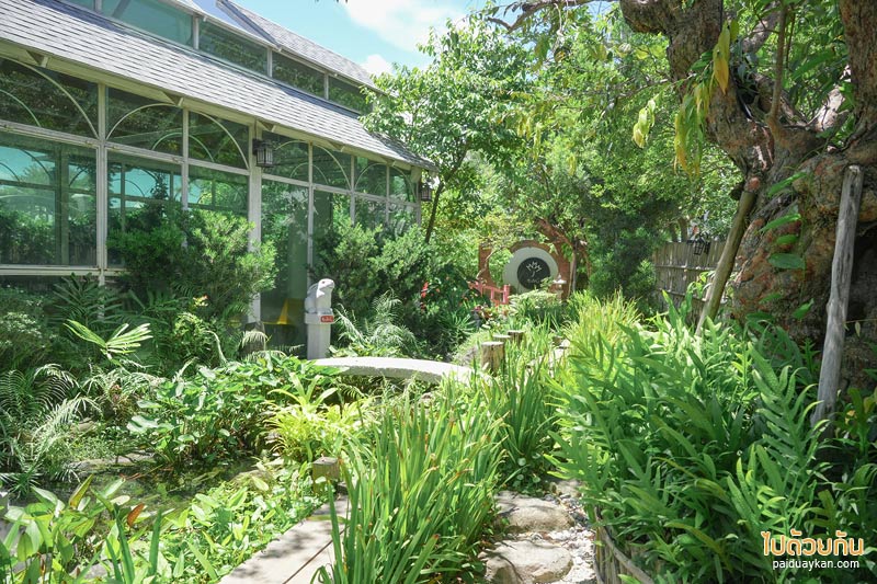 momiji specialty coffee, โมมิจิ สเปเชี่ยลตี้ คอฟฟี่, คาเฟ่ญี่ปุ่นบางแสน, คาเฟ่ญี่ปุ่นชลบุรี, momiji specialty coffee ชลบุรี คาเฟ่ในสวนสไตล์ญี่ปุ่น