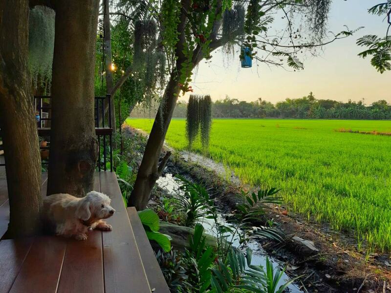 ร้านอาหารเช้านนทบุรี อร่อย ราคาถูก จนต้องรีบไปเช็คอิน