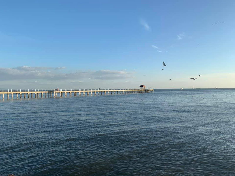 สมุทรปราการ, เที่ยวบางปู, คาเฟ่บางปู, ร้านกาแฟบางปู, ร้านอาหารบางปู, ชิลล์เอ้าท์..รวมพิกัด 6 คาเฟ่บางปูวิวทะเล รับลมเย็น ใกล้กรุงเทพแค่เอื้อม!