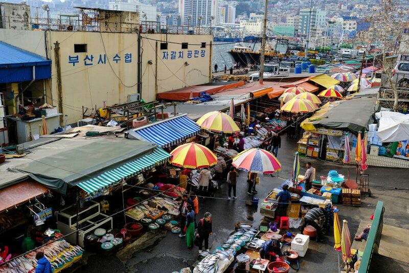 bukchon hanok village, cheonggyecheon stream, gangnam, gangnam style, haeundae beach, hongdae, hongik university, insadong, jagalchi, jagalchi fish market, korean streetfood, korean walking street, myeongdong, samcheongdong-gil road, seomyeon, waiking street, กรุงโซล, กังนัม, ขนมพื้นเมือง, คลองชองกเยชอน, ช้อปปิ้งเกาหลี 2024, ชายหาดแฮอุนแด, ซอมยอน, ตลาดปลาจากัลซี, ถนนคนเดินเกาหลี, ถนนซัมดองกิล, ถนนศิลปะ, ถนนเก่าอินซาดง, ปูซาน, สินค้าไฮเอนด์, หมู่บ้านบุกชอนฮันอก, อาหารทะเล, อินซาดง, ฮงแด, เต้นโคฟเวอร์, เทศกาลโคมไฟ, เที่ยวเกาหลี 2024, เที่ยวเกาหลี 2567, เที่ยวเกาหลีด้วยตัวเอง, เมียงดง, แบรนด์เนมเกาหลี, แฟนชั่นเกาหลี, แหล่งช็อปปิ้งเกาหลี, top 10+ ถนนคนเดินในเกาหลี 2024 แหล่งช็อปปิ้งเกาหลี แฟชั่นจัดเต็ม และงานศิลปะที่ไม่เหมือนใคร