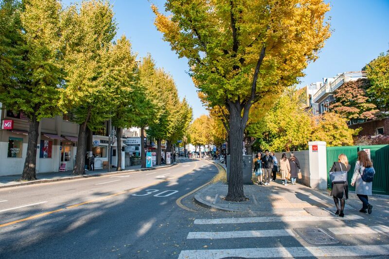 bukchon hanok village, cheonggyecheon stream, gangnam, gangnam style, haeundae beach, hongdae, hongik university, insadong, jagalchi, jagalchi fish market, korean streetfood, korean walking street, myeongdong, samcheongdong-gil road, seomyeon, waiking street, กรุงโซล, กังนัม, ขนมพื้นเมือง, คลองชองกเยชอน, ช้อปปิ้งเกาหลี 2024, ชายหาดแฮอุนแด, ซอมยอน, ตลาดปลาจากัลซี, ถนนคนเดินเกาหลี, ถนนซัมดองกิล, ถนนศิลปะ, ถนนเก่าอินซาดง, ปูซาน, สินค้าไฮเอนด์, หมู่บ้านบุกชอนฮันอก, อาหารทะเล, อินซาดง, ฮงแด, เต้นโคฟเวอร์, เทศกาลโคมไฟ, เที่ยวเกาหลี 2024, เที่ยวเกาหลี 2567, เที่ยวเกาหลีด้วยตัวเอง, เมียงดง, แบรนด์เนมเกาหลี, แฟนชั่นเกาหลี, แหล่งช็อปปิ้งเกาหลี, top 10+ ถนนคนเดินในเกาหลี 2024 แหล่งช็อปปิ้งเกาหลี แฟชั่นจัดเต็ม และงานศิลปะที่ไม่เหมือนใคร