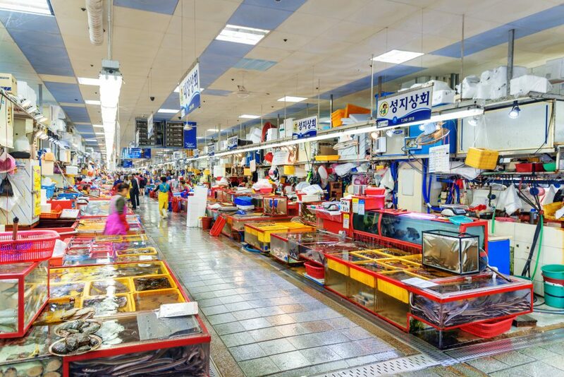 bukchon hanok village, cheonggyecheon stream, gangnam, gangnam style, haeundae beach, hongdae, hongik university, insadong, jagalchi, jagalchi fish market, korean streetfood, korean walking street, myeongdong, samcheongdong-gil road, seomyeon, waiking street, กรุงโซล, กังนัม, ขนมพื้นเมือง, คลองชองกเยชอน, ช้อปปิ้งเกาหลี 2024, ชายหาดแฮอุนแด, ซอมยอน, ตลาดปลาจากัลซี, ถนนคนเดินเกาหลี, ถนนซัมดองกิล, ถนนศิลปะ, ถนนเก่าอินซาดง, ปูซาน, สินค้าไฮเอนด์, หมู่บ้านบุกชอนฮันอก, อาหารทะเล, อินซาดง, ฮงแด, เต้นโคฟเวอร์, เทศกาลโคมไฟ, เที่ยวเกาหลี 2024, เที่ยวเกาหลี 2567, เที่ยวเกาหลีด้วยตัวเอง, เมียงดง, แบรนด์เนมเกาหลี, แฟนชั่นเกาหลี, แหล่งช็อปปิ้งเกาหลี, top 10+ ถนนคนเดินในเกาหลี 2024 แหล่งช็อปปิ้งเกาหลี แฟชั่นจัดเต็ม และงานศิลปะที่ไม่เหมือนใคร