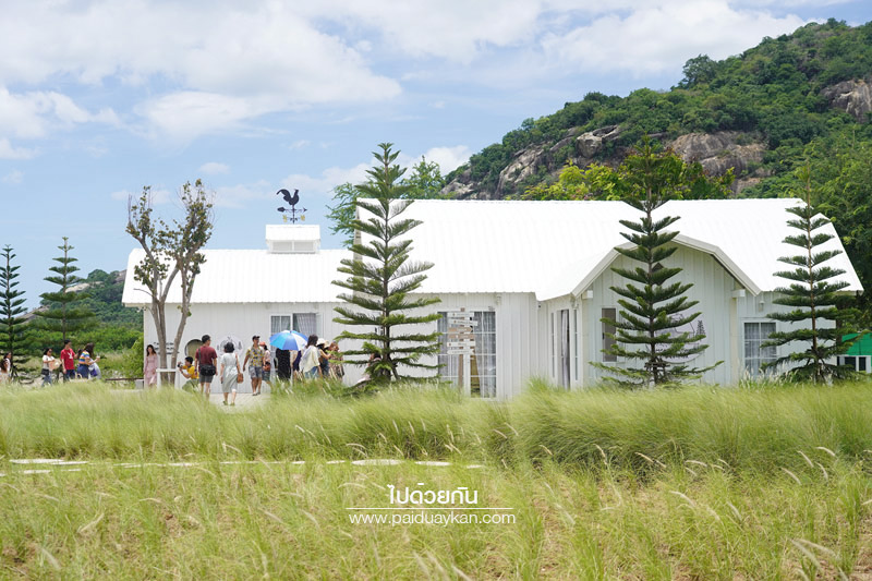 ร้านกาแฟหัวหิน, คาเฟ่หัวหิน, memory house cafe huahin, memory house หัวหิน, ร้านกาแฟทุ่งหญ้าหัวหิน, memory house cafe หัวหิน คาเฟ่ชวนฝัน ท่ามกลางทุ่งหญ้า