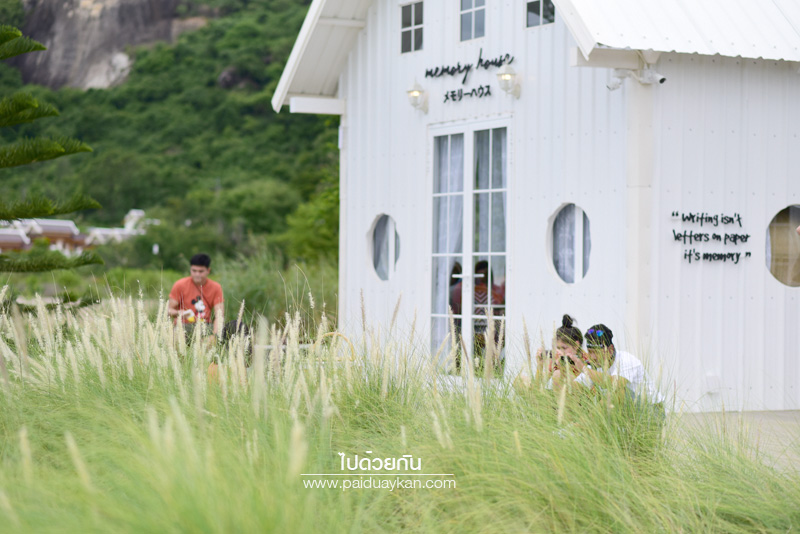 ร้านกาแฟหัวหิน, คาเฟ่หัวหิน, memory house cafe huahin, memory house หัวหิน, ร้านกาแฟทุ่งหญ้าหัวหิน, memory house cafe หัวหิน คาเฟ่ชวนฝัน ท่ามกลางทุ่งหญ้า