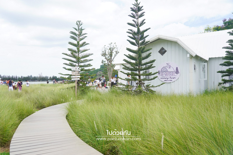 ร้านกาแฟหัวหิน, คาเฟ่หัวหิน, memory house cafe huahin, memory house หัวหิน, ร้านกาแฟทุ่งหญ้าหัวหิน, memory house cafe หัวหิน คาเฟ่ชวนฝัน ท่ามกลางทุ่งหญ้า