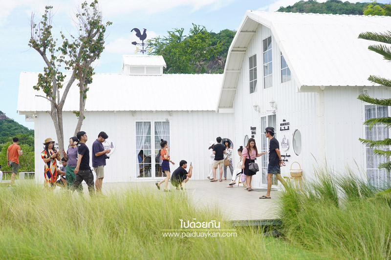 ร้านกาแฟหัวหิน, คาเฟ่หัวหิน, memory house cafe huahin, memory house หัวหิน, ร้านกาแฟทุ่งหญ้าหัวหิน, memory house cafe หัวหิน คาเฟ่ชวนฝัน ท่ามกลางทุ่งหญ้า