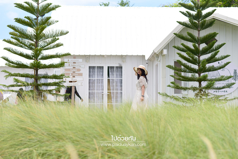 ร้านกาแฟหัวหิน, คาเฟ่หัวหิน, memory house cafe huahin, memory house หัวหิน, ร้านกาแฟทุ่งหญ้าหัวหิน, memory house cafe หัวหิน คาเฟ่ชวนฝัน ท่ามกลางทุ่งหญ้า