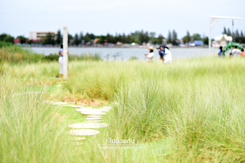 ร้านกาแฟหัวหิน, คาเฟ่หัวหิน, memory house cafe huahin, memory house หัวหิน, ร้านกาแฟทุ่งหญ้าหัวหิน, memory house cafe หัวหิน คาเฟ่ชวนฝัน ท่ามกลางทุ่งหญ้า