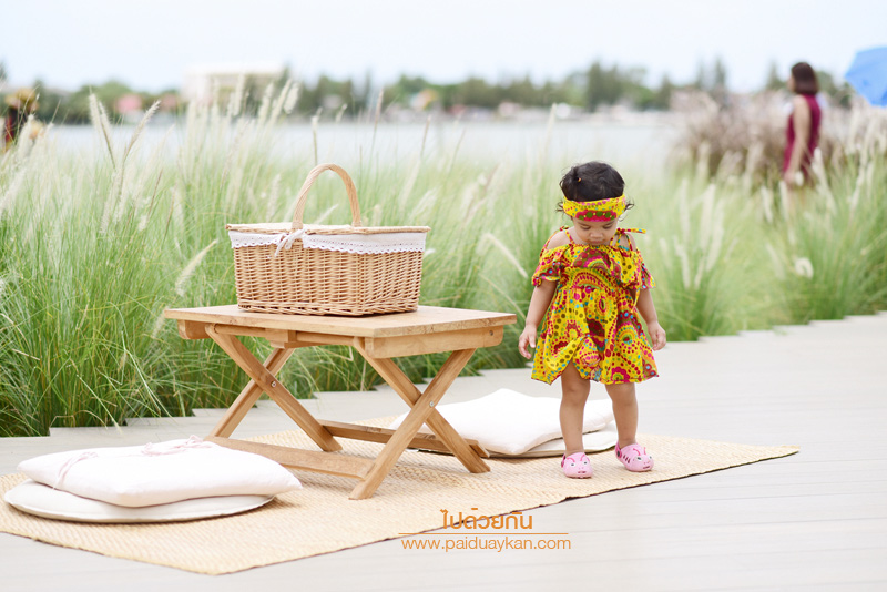 ร้านกาแฟหัวหิน, คาเฟ่หัวหิน, memory house cafe huahin, memory house หัวหิน, ร้านกาแฟทุ่งหญ้าหัวหิน, memory house cafe หัวหิน คาเฟ่ชวนฝัน ท่ามกลางทุ่งหญ้า