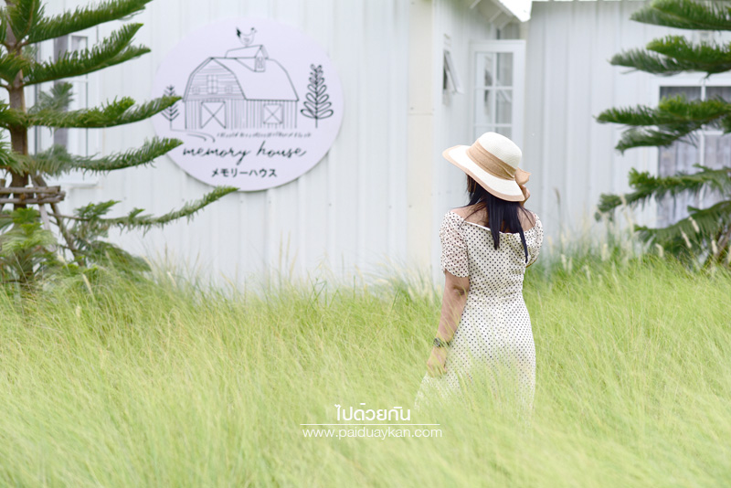 ร้านกาแฟหัวหิน, คาเฟ่หัวหิน, memory house cafe huahin, memory house หัวหิน, ร้านกาแฟทุ่งหญ้าหัวหิน, memory house cafe หัวหิน คาเฟ่ชวนฝัน ท่ามกลางทุ่งหญ้า