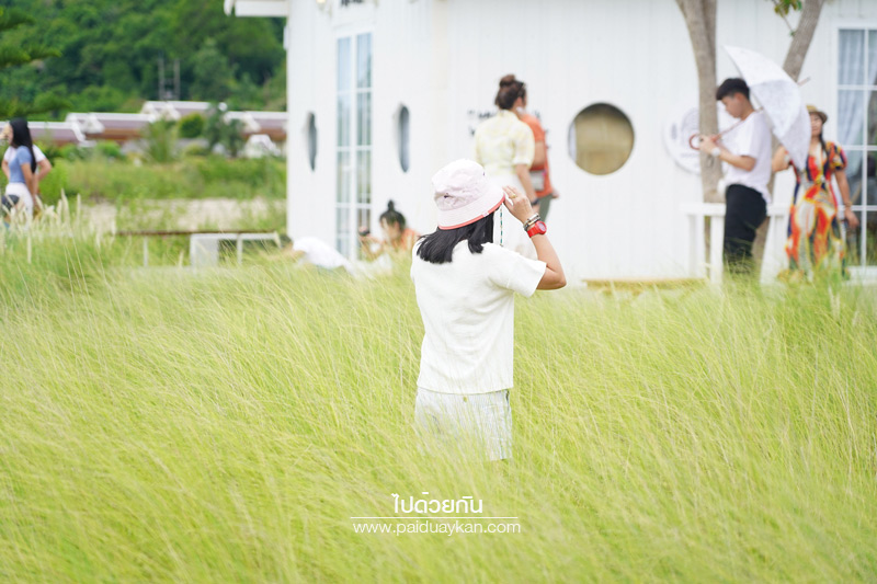 ร้านกาแฟหัวหิน, คาเฟ่หัวหิน, memory house cafe huahin, memory house หัวหิน, ร้านกาแฟทุ่งหญ้าหัวหิน, memory house cafe หัวหิน คาเฟ่ชวนฝัน ท่ามกลางทุ่งหญ้า