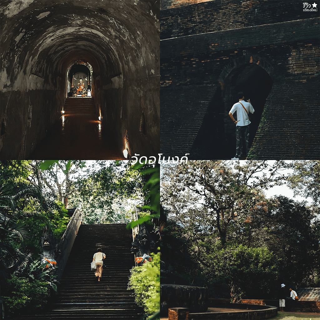 reviewchaingmai, slow life, คนโสด, ที่เที่ยว เชียงใหม่, ที่เที่ยวเชียงใหม่, เที่ยวคนเดียว, รวมทริปคนโสด ไปคนเดียวเที่ยวแบบ slow life ในเชียงใหม่