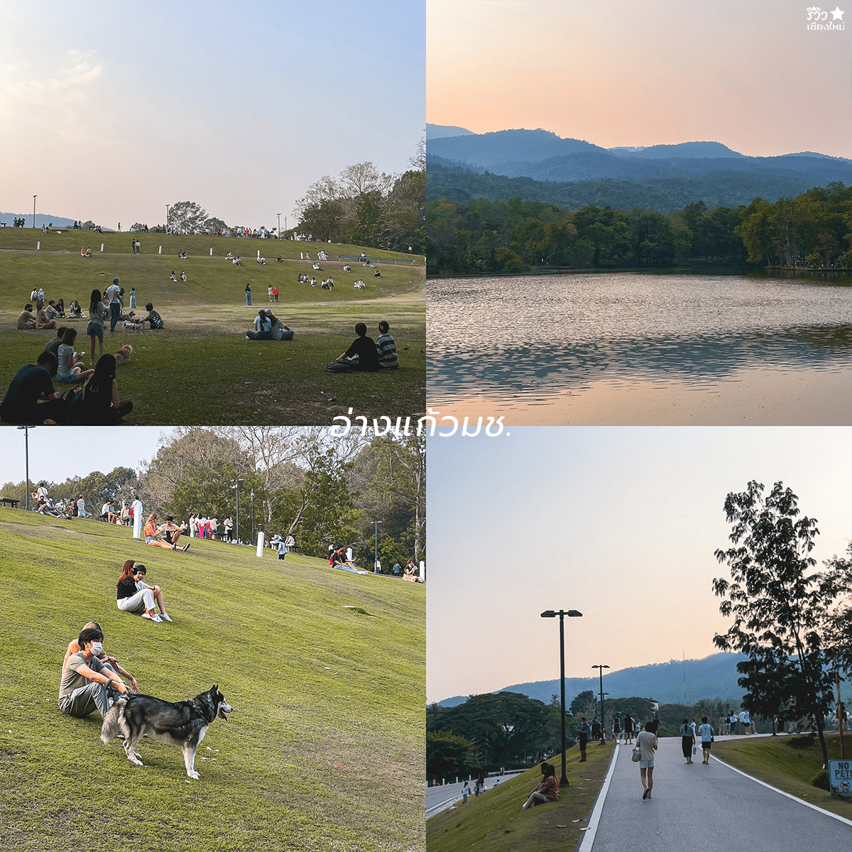 reviewchaingmai, slow life, คนโสด, ที่เที่ยว เชียงใหม่, ที่เที่ยวเชียงใหม่, เที่ยวคนเดียว, รวมทริปคนโสด ไปคนเดียวเที่ยวแบบ slow life ในเชียงใหม่