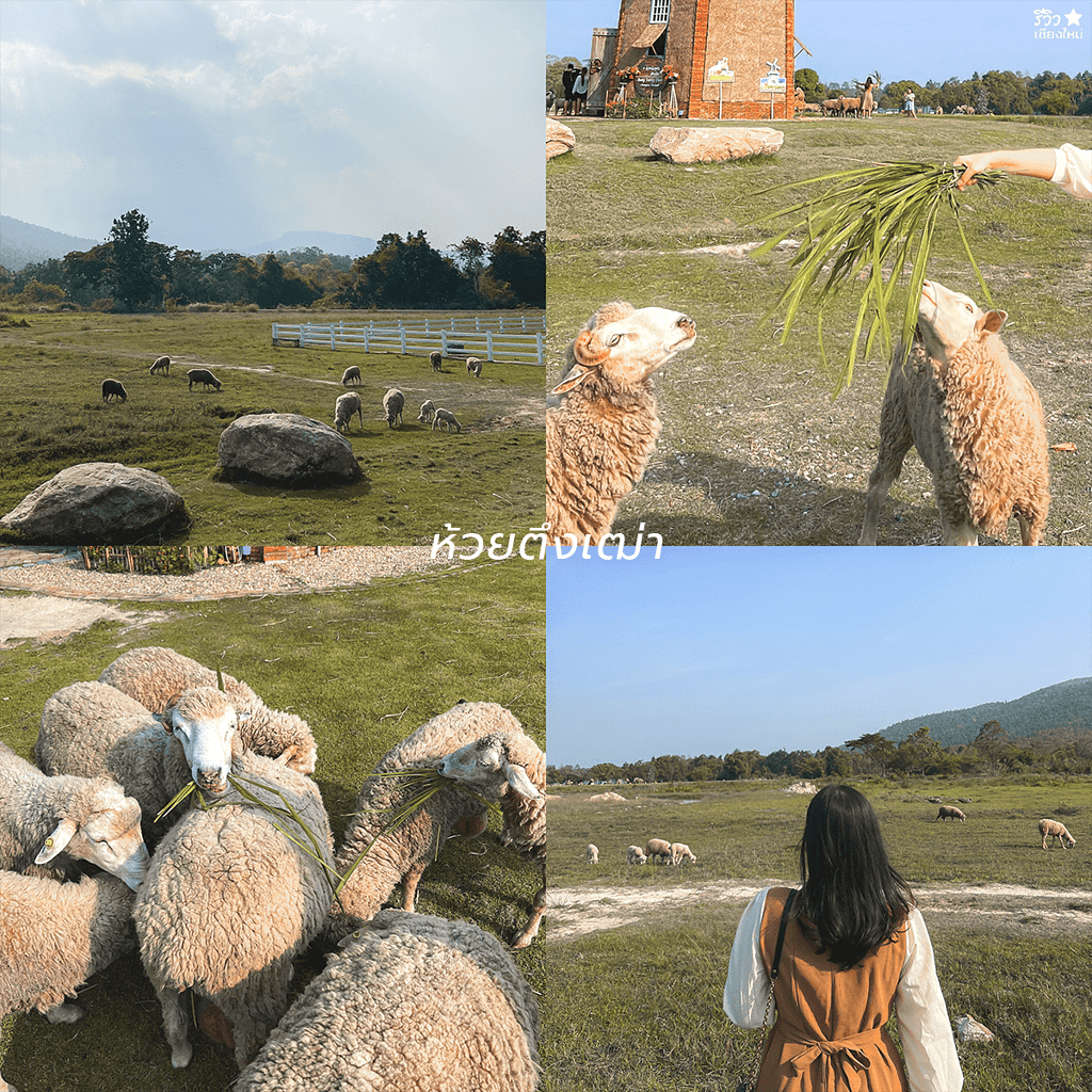 reviewchaingmai, slow life, คนโสด, ที่เที่ยว เชียงใหม่, ที่เที่ยวเชียงใหม่, เที่ยวคนเดียว, รวมทริปคนโสด ไปคนเดียวเที่ยวแบบ slow life ในเชียงใหม่