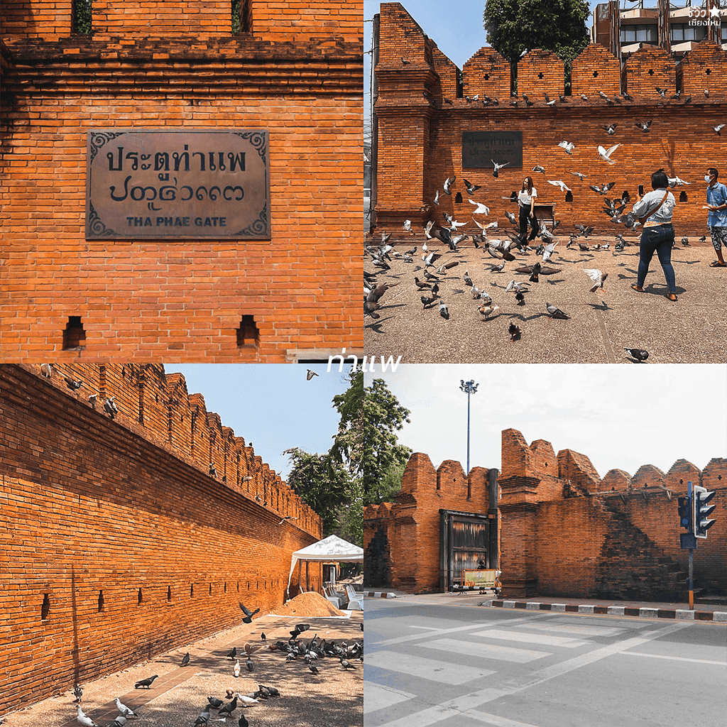 reviewchaingmai, slow life, คนโสด, ที่เที่ยว เชียงใหม่, ที่เที่ยวเชียงใหม่, เที่ยวคนเดียว, รวมทริปคนโสด ไปคนเดียวเที่ยวแบบ slow life ในเชียงใหม่