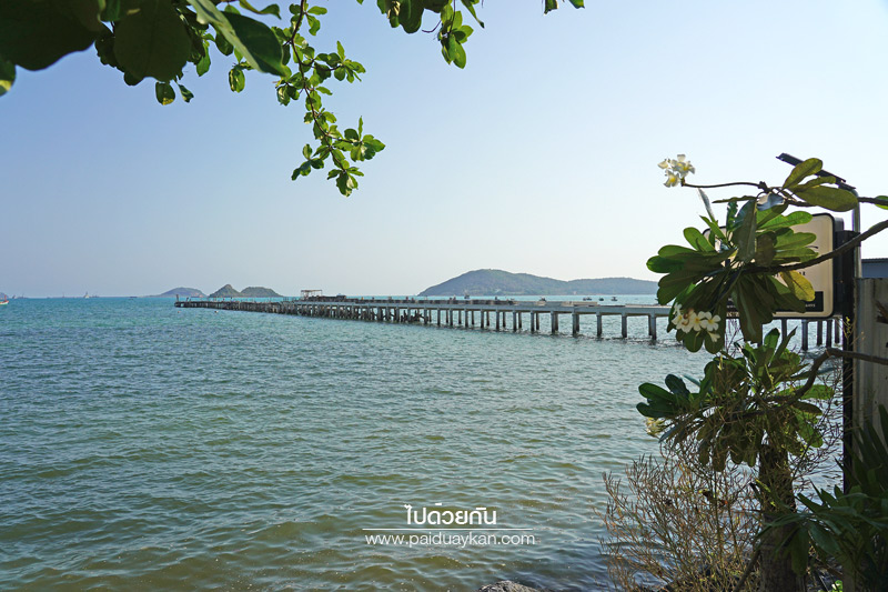 สัตหีบ, ร้านกาแฟสัตหีบ, คาเฟ่สัตหีบ, coffee beach สัตหีบ, coffee beach สัตหีบ นั่งชิลมองทะเล