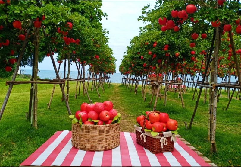 backstreet cafe & bar, backstreet house pattaya, black forest, breezebox cafe x cactus, cafe 2022, cafe 2023, cafe 2565, cafe 2566, cafe pattaya 2022, cafe pattaya 2023, cafe pattaya 2565, cafe pattaya 2566, castello di bellagio, cave beach club, dripoly, good old sea beach cafe, great&grand sweet destination, loaf baker & ฺbrewers, on ground cafe & farm, ordinary coffee, papa beach, papa beach pattaya, pastry addiction, s'more beach cafe x manual brewing bar, seaweed cafe, skoop beach cafe, somtavin cafe, summer house pattaya, tappia floating cafe pattaya, the lunar beach house, the sky gallery pattaya, treescape, tutu beach, under the sun, unnie pattaya, unnie 언니, whan cafe, whan milk bar & cafe, why specialty coffee, wonder bar, z beach, คาเฟ่, คาเฟ่ 2022, คาเฟ่ 2023, คาเฟ่ 2565, คาเฟ่ 2566, คาเฟ่ พัทยา 2023, คาเฟ่ พัทยา 2566, คาเฟ่ หมู่บ้านช้างพัทยา, คาเฟ่ ใกล้ฉัน, คาเฟ่ขนมหวานพัทยา, คาเฟ่ถ่ายรูปสวย พัทยา, คาเฟ่น่ารัก พัทยา, คาเฟ่พัทยา, คาเฟ่พัทยา 2022, คาเฟ่พัทยา 2565, คาเฟ่ใกล้ฉัน, ทูทู่บีช, ปาป้า บีช พัทยา, พัทยา, มองช้างคาเฟ่, มองช้างคาเฟ่ พัทยา, สมถวิล คาเฟ่, หวานคาเฟ่ พัทยา, เคปบีชคลับ, เคปบีชคลับ พัทยา, เดอะสกายแกลอรี่, เดอะสกายแกลอรี่ พัทยา, top 30+ คาเฟ่พัทยา [กรกฎาคม 2024] ตกแต่งเริ่ด มุมถ่ายรูปเพียบ แชะภาพได้รัว ๆ