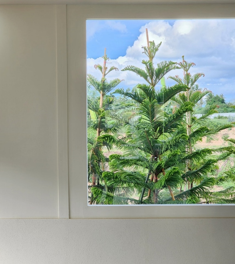 backstreet cafe & bar, backstreet house pattaya, black forest, breezebox cafe x cactus, cafe 2022, cafe 2023, cafe 2565, cafe 2566, cafe pattaya 2022, cafe pattaya 2023, cafe pattaya 2565, cafe pattaya 2566, castello di bellagio, cave beach club, dripoly, good old sea beach cafe, great&grand sweet destination, loaf baker & ฺbrewers, on ground cafe & farm, ordinary coffee, papa beach, papa beach pattaya, pastry addiction, s'more beach cafe x manual brewing bar, seaweed cafe, skoop beach cafe, somtavin cafe, summer house pattaya, tappia floating cafe pattaya, the lunar beach house, the sky gallery pattaya, treescape, tutu beach, under the sun, unnie pattaya, unnie 언니, whan cafe, whan milk bar & cafe, why specialty coffee, wonder bar, z beach, คาเฟ่, คาเฟ่ 2022, คาเฟ่ 2023, คาเฟ่ 2565, คาเฟ่ 2566, คาเฟ่ พัทยา 2023, คาเฟ่ พัทยา 2566, คาเฟ่ หมู่บ้านช้างพัทยา, คาเฟ่ ใกล้ฉัน, คาเฟ่ขนมหวานพัทยา, คาเฟ่ถ่ายรูปสวย พัทยา, คาเฟ่น่ารัก พัทยา, คาเฟ่พัทยา, คาเฟ่พัทยา 2022, คาเฟ่พัทยา 2565, คาเฟ่ใกล้ฉัน, ทูทู่บีช, ปาป้า บีช พัทยา, พัทยา, มองช้างคาเฟ่, มองช้างคาเฟ่ พัทยา, สมถวิล คาเฟ่, หวานคาเฟ่ พัทยา, เคปบีชคลับ, เคปบีชคลับ พัทยา, เดอะสกายแกลอรี่, เดอะสกายแกลอรี่ พัทยา, top 30+ คาเฟ่พัทยา [กรกฎาคม 2024] ตกแต่งเริ่ด มุมถ่ายรูปเพียบ แชะภาพได้รัว ๆ