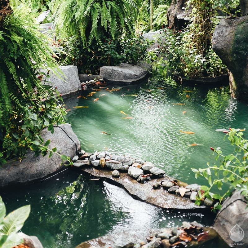 backstreet cafe & bar, backstreet house pattaya, black forest, breezebox cafe x cactus, cafe 2022, cafe 2023, cafe 2565, cafe 2566, cafe pattaya 2022, cafe pattaya 2023, cafe pattaya 2565, cafe pattaya 2566, castello di bellagio, cave beach club, dripoly, good old sea beach cafe, great&grand sweet destination, loaf baker & ฺbrewers, on ground cafe & farm, ordinary coffee, papa beach, papa beach pattaya, pastry addiction, s'more beach cafe x manual brewing bar, seaweed cafe, skoop beach cafe, somtavin cafe, summer house pattaya, tappia floating cafe pattaya, the lunar beach house, the sky gallery pattaya, treescape, tutu beach, under the sun, unnie pattaya, unnie 언니, whan cafe, whan milk bar & cafe, why specialty coffee, wonder bar, z beach, คาเฟ่, คาเฟ่ 2022, คาเฟ่ 2023, คาเฟ่ 2565, คาเฟ่ 2566, คาเฟ่ พัทยา 2023, คาเฟ่ พัทยา 2566, คาเฟ่ หมู่บ้านช้างพัทยา, คาเฟ่ ใกล้ฉัน, คาเฟ่ขนมหวานพัทยา, คาเฟ่ถ่ายรูปสวย พัทยา, คาเฟ่น่ารัก พัทยา, คาเฟ่พัทยา, คาเฟ่พัทยา 2022, คาเฟ่พัทยา 2565, คาเฟ่ใกล้ฉัน, ทูทู่บีช, ปาป้า บีช พัทยา, พัทยา, มองช้างคาเฟ่, มองช้างคาเฟ่ พัทยา, สมถวิล คาเฟ่, หวานคาเฟ่ พัทยา, เคปบีชคลับ, เคปบีชคลับ พัทยา, เดอะสกายแกลอรี่, เดอะสกายแกลอรี่ พัทยา, top 30+ คาเฟ่พัทยา [กรกฎาคม 2024] ตกแต่งเริ่ด มุมถ่ายรูปเพียบ แชะภาพได้รัว ๆ