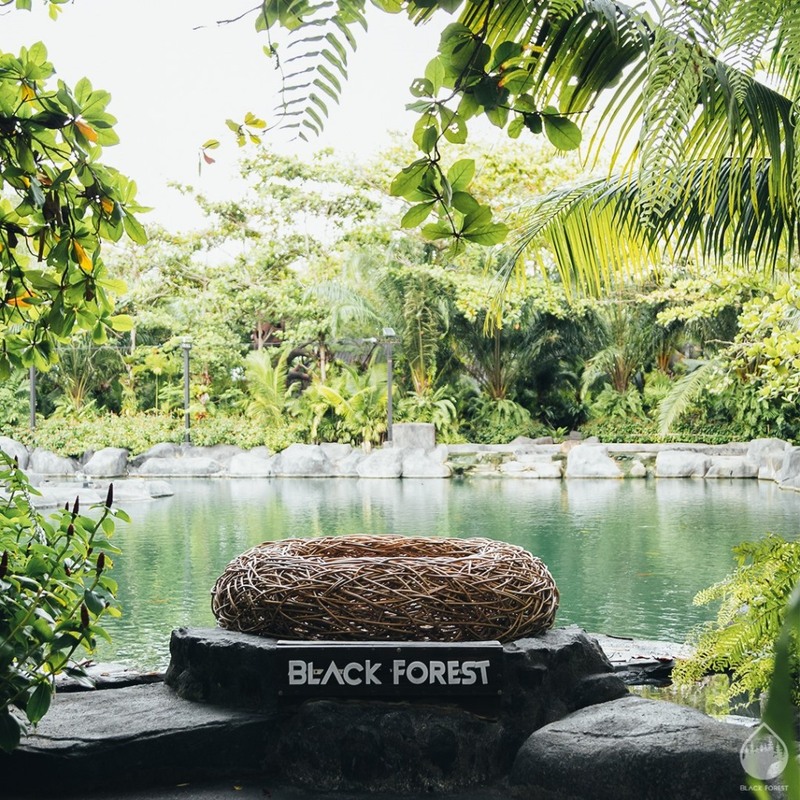 backstreet cafe & bar, backstreet house pattaya, black forest, breezebox cafe x cactus, cafe 2022, cafe 2023, cafe 2565, cafe 2566, cafe pattaya 2022, cafe pattaya 2023, cafe pattaya 2565, cafe pattaya 2566, castello di bellagio, cave beach club, dripoly, good old sea beach cafe, great&grand sweet destination, loaf baker & ฺbrewers, on ground cafe & farm, ordinary coffee, papa beach, papa beach pattaya, pastry addiction, s'more beach cafe x manual brewing bar, seaweed cafe, skoop beach cafe, somtavin cafe, summer house pattaya, tappia floating cafe pattaya, the lunar beach house, the sky gallery pattaya, treescape, tutu beach, under the sun, unnie pattaya, unnie 언니, whan cafe, whan milk bar & cafe, why specialty coffee, wonder bar, z beach, คาเฟ่, คาเฟ่ 2022, คาเฟ่ 2023, คาเฟ่ 2565, คาเฟ่ 2566, คาเฟ่ พัทยา 2023, คาเฟ่ พัทยา 2566, คาเฟ่ หมู่บ้านช้างพัทยา, คาเฟ่ ใกล้ฉัน, คาเฟ่ขนมหวานพัทยา, คาเฟ่ถ่ายรูปสวย พัทยา, คาเฟ่น่ารัก พัทยา, คาเฟ่พัทยา, คาเฟ่พัทยา 2022, คาเฟ่พัทยา 2565, คาเฟ่ใกล้ฉัน, ทูทู่บีช, ปาป้า บีช พัทยา, พัทยา, มองช้างคาเฟ่, มองช้างคาเฟ่ พัทยา, สมถวิล คาเฟ่, หวานคาเฟ่ พัทยา, เคปบีชคลับ, เคปบีชคลับ พัทยา, เดอะสกายแกลอรี่, เดอะสกายแกลอรี่ พัทยา, top 30+ คาเฟ่พัทยา [กรกฎาคม 2024] ตกแต่งเริ่ด มุมถ่ายรูปเพียบ แชะภาพได้รัว ๆ