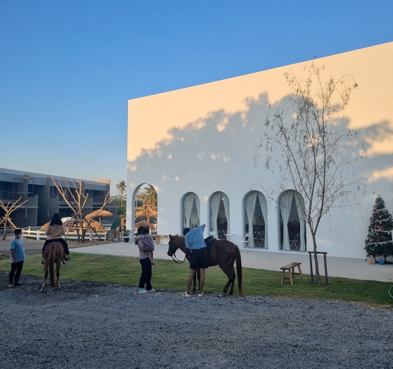 backstreet cafe & bar, backstreet house pattaya, black forest, breezebox cafe x cactus, cafe 2022, cafe 2023, cafe 2565, cafe 2566, cafe pattaya 2022, cafe pattaya 2023, cafe pattaya 2565, cafe pattaya 2566, castello di bellagio, cave beach club, dripoly, good old sea beach cafe, great&grand sweet destination, loaf baker & ฺbrewers, on ground cafe & farm, ordinary coffee, papa beach, papa beach pattaya, pastry addiction, s'more beach cafe x manual brewing bar, seaweed cafe, skoop beach cafe, somtavin cafe, summer house pattaya, tappia floating cafe pattaya, the lunar beach house, the sky gallery pattaya, treescape, tutu beach, under the sun, unnie pattaya, unnie 언니, whan cafe, whan milk bar & cafe, why specialty coffee, wonder bar, z beach, คาเฟ่, คาเฟ่ 2022, คาเฟ่ 2023, คาเฟ่ 2565, คาเฟ่ 2566, คาเฟ่ พัทยา 2023, คาเฟ่ พัทยา 2566, คาเฟ่ หมู่บ้านช้างพัทยา, คาเฟ่ ใกล้ฉัน, คาเฟ่ขนมหวานพัทยา, คาเฟ่ถ่ายรูปสวย พัทยา, คาเฟ่น่ารัก พัทยา, คาเฟ่พัทยา, คาเฟ่พัทยา 2022, คาเฟ่พัทยา 2565, คาเฟ่ใกล้ฉัน, ทูทู่บีช, ปาป้า บีช พัทยา, พัทยา, มองช้างคาเฟ่, มองช้างคาเฟ่ พัทยา, สมถวิล คาเฟ่, หวานคาเฟ่ พัทยา, เคปบีชคลับ, เคปบีชคลับ พัทยา, เดอะสกายแกลอรี่, เดอะสกายแกลอรี่ พัทยา, top 30+ คาเฟ่พัทยา [กรกฎาคม 2024] ตกแต่งเริ่ด มุมถ่ายรูปเพียบ แชะภาพได้รัว ๆ