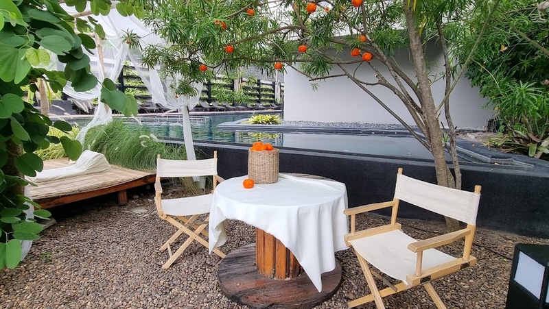 backstreet cafe & bar, backstreet house pattaya, black forest, breezebox cafe x cactus, cafe 2022, cafe 2023, cafe 2565, cafe 2566, cafe pattaya 2022, cafe pattaya 2023, cafe pattaya 2565, cafe pattaya 2566, castello di bellagio, cave beach club, dripoly, good old sea beach cafe, great&grand sweet destination, loaf baker & ฺbrewers, on ground cafe & farm, ordinary coffee, papa beach, papa beach pattaya, pastry addiction, s'more beach cafe x manual brewing bar, seaweed cafe, skoop beach cafe, somtavin cafe, summer house pattaya, tappia floating cafe pattaya, the lunar beach house, the sky gallery pattaya, treescape, tutu beach, under the sun, unnie pattaya, unnie 언니, whan cafe, whan milk bar & cafe, why specialty coffee, wonder bar, z beach, คาเฟ่, คาเฟ่ 2022, คาเฟ่ 2023, คาเฟ่ 2565, คาเฟ่ 2566, คาเฟ่ พัทยา 2023, คาเฟ่ พัทยา 2566, คาเฟ่ หมู่บ้านช้างพัทยา, คาเฟ่ ใกล้ฉัน, คาเฟ่ขนมหวานพัทยา, คาเฟ่ถ่ายรูปสวย พัทยา, คาเฟ่น่ารัก พัทยา, คาเฟ่พัทยา, คาเฟ่พัทยา 2022, คาเฟ่พัทยา 2565, คาเฟ่ใกล้ฉัน, ทูทู่บีช, ปาป้า บีช พัทยา, พัทยา, มองช้างคาเฟ่, มองช้างคาเฟ่ พัทยา, สมถวิล คาเฟ่, หวานคาเฟ่ พัทยา, เคปบีชคลับ, เคปบีชคลับ พัทยา, เดอะสกายแกลอรี่, เดอะสกายแกลอรี่ พัทยา, top 30+ คาเฟ่พัทยา [กรกฎาคม 2024] ตกแต่งเริ่ด มุมถ่ายรูปเพียบ แชะภาพได้รัว ๆ