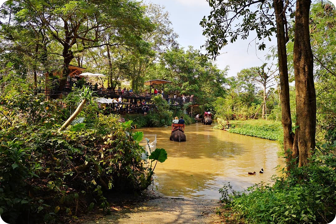 backstreet cafe & bar, backstreet house pattaya, black forest, breezebox cafe x cactus, cafe 2022, cafe 2023, cafe 2565, cafe 2566, cafe pattaya 2022, cafe pattaya 2023, cafe pattaya 2565, cafe pattaya 2566, castello di bellagio, cave beach club, dripoly, good old sea beach cafe, great&grand sweet destination, loaf baker & ฺbrewers, on ground cafe & farm, ordinary coffee, papa beach, papa beach pattaya, pastry addiction, s'more beach cafe x manual brewing bar, seaweed cafe, skoop beach cafe, somtavin cafe, summer house pattaya, tappia floating cafe pattaya, the lunar beach house, the sky gallery pattaya, treescape, tutu beach, under the sun, unnie pattaya, unnie 언니, whan cafe, whan milk bar & cafe, why specialty coffee, wonder bar, z beach, คาเฟ่, คาเฟ่ 2022, คาเฟ่ 2023, คาเฟ่ 2565, คาเฟ่ 2566, คาเฟ่ พัทยา 2023, คาเฟ่ พัทยา 2566, คาเฟ่ หมู่บ้านช้างพัทยา, คาเฟ่ ใกล้ฉัน, คาเฟ่ขนมหวานพัทยา, คาเฟ่ถ่ายรูปสวย พัทยา, คาเฟ่น่ารัก พัทยา, คาเฟ่พัทยา, คาเฟ่พัทยา 2022, คาเฟ่พัทยา 2565, คาเฟ่ใกล้ฉัน, ทูทู่บีช, ปาป้า บีช พัทยา, พัทยา, มองช้างคาเฟ่, มองช้างคาเฟ่ พัทยา, สมถวิล คาเฟ่, หวานคาเฟ่ พัทยา, เคปบีชคลับ, เคปบีชคลับ พัทยา, เดอะสกายแกลอรี่, เดอะสกายแกลอรี่ พัทยา, top 30+ คาเฟ่พัทยา [กรกฎาคม 2024] ตกแต่งเริ่ด มุมถ่ายรูปเพียบ แชะภาพได้รัว ๆ