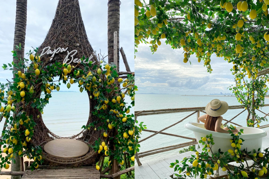 backstreet cafe & bar, backstreet house pattaya, black forest, breezebox cafe x cactus, cafe 2022, cafe 2023, cafe 2565, cafe 2566, cafe pattaya 2022, cafe pattaya 2023, cafe pattaya 2565, cafe pattaya 2566, castello di bellagio, cave beach club, dripoly, good old sea beach cafe, great&grand sweet destination, loaf baker & ฺbrewers, on ground cafe & farm, ordinary coffee, papa beach, papa beach pattaya, pastry addiction, s'more beach cafe x manual brewing bar, seaweed cafe, skoop beach cafe, somtavin cafe, summer house pattaya, tappia floating cafe pattaya, the lunar beach house, the sky gallery pattaya, treescape, tutu beach, under the sun, unnie pattaya, unnie 언니, whan cafe, whan milk bar & cafe, why specialty coffee, wonder bar, z beach, คาเฟ่, คาเฟ่ 2022, คาเฟ่ 2023, คาเฟ่ 2565, คาเฟ่ 2566, คาเฟ่ พัทยา 2023, คาเฟ่ พัทยา 2566, คาเฟ่ หมู่บ้านช้างพัทยา, คาเฟ่ ใกล้ฉัน, คาเฟ่ขนมหวานพัทยา, คาเฟ่ถ่ายรูปสวย พัทยา, คาเฟ่น่ารัก พัทยา, คาเฟ่พัทยา, คาเฟ่พัทยา 2022, คาเฟ่พัทยา 2565, คาเฟ่ใกล้ฉัน, ทูทู่บีช, ปาป้า บีช พัทยา, พัทยา, มองช้างคาเฟ่, มองช้างคาเฟ่ พัทยา, สมถวิล คาเฟ่, หวานคาเฟ่ พัทยา, เคปบีชคลับ, เคปบีชคลับ พัทยา, เดอะสกายแกลอรี่, เดอะสกายแกลอรี่ พัทยา, top 30+ คาเฟ่พัทยา [กรกฎาคม 2024] ตกแต่งเริ่ด มุมถ่ายรูปเพียบ แชะภาพได้รัว ๆ