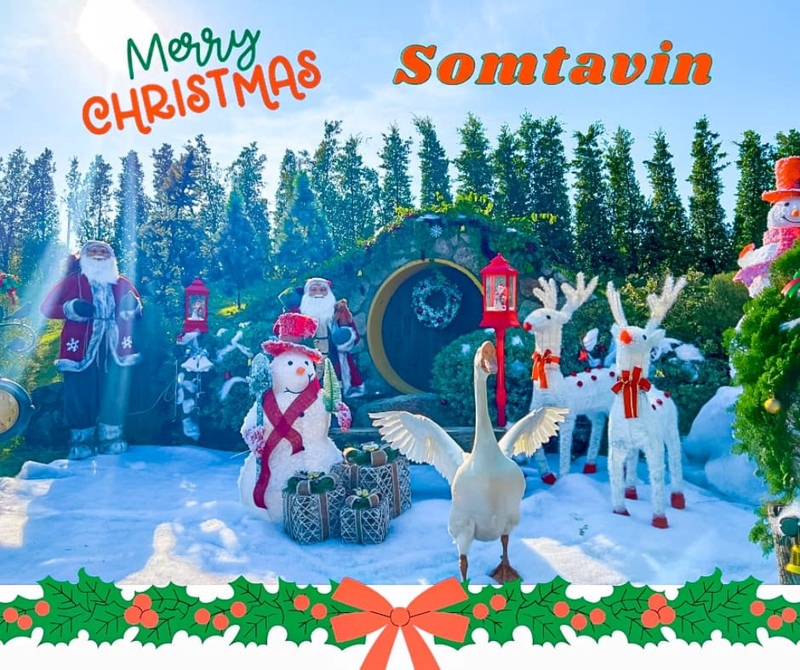 backstreet cafe & bar, backstreet house pattaya, black forest, breezebox cafe x cactus, cafe 2022, cafe 2023, cafe 2565, cafe 2566, cafe pattaya 2022, cafe pattaya 2023, cafe pattaya 2565, cafe pattaya 2566, castello di bellagio, cave beach club, dripoly, good old sea beach cafe, great&grand sweet destination, loaf baker & ฺbrewers, on ground cafe & farm, ordinary coffee, papa beach, papa beach pattaya, pastry addiction, s'more beach cafe x manual brewing bar, seaweed cafe, skoop beach cafe, somtavin cafe, summer house pattaya, tappia floating cafe pattaya, the lunar beach house, the sky gallery pattaya, treescape, tutu beach, under the sun, unnie pattaya, unnie 언니, whan cafe, whan milk bar & cafe, why specialty coffee, wonder bar, z beach, คาเฟ่, คาเฟ่ 2022, คาเฟ่ 2023, คาเฟ่ 2565, คาเฟ่ 2566, คาเฟ่ พัทยา 2023, คาเฟ่ พัทยา 2566, คาเฟ่ หมู่บ้านช้างพัทยา, คาเฟ่ ใกล้ฉัน, คาเฟ่ขนมหวานพัทยา, คาเฟ่ถ่ายรูปสวย พัทยา, คาเฟ่น่ารัก พัทยา, คาเฟ่พัทยา, คาเฟ่พัทยา 2022, คาเฟ่พัทยา 2565, คาเฟ่ใกล้ฉัน, ทูทู่บีช, ปาป้า บีช พัทยา, พัทยา, มองช้างคาเฟ่, มองช้างคาเฟ่ พัทยา, สมถวิล คาเฟ่, หวานคาเฟ่ พัทยา, เคปบีชคลับ, เคปบีชคลับ พัทยา, เดอะสกายแกลอรี่, เดอะสกายแกลอรี่ พัทยา, top 30+ คาเฟ่พัทยา [กรกฎาคม 2024] ตกแต่งเริ่ด มุมถ่ายรูปเพียบ แชะภาพได้รัว ๆ