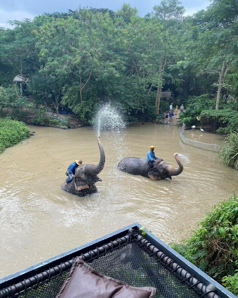 backstreet cafe & bar, backstreet house pattaya, black forest, breezebox cafe x cactus, cafe 2022, cafe 2023, cafe 2565, cafe 2566, cafe pattaya 2022, cafe pattaya 2023, cafe pattaya 2565, cafe pattaya 2566, castello di bellagio, cave beach club, dripoly, good old sea beach cafe, great&grand sweet destination, loaf baker & ฺbrewers, on ground cafe & farm, ordinary coffee, papa beach, papa beach pattaya, pastry addiction, s'more beach cafe x manual brewing bar, seaweed cafe, skoop beach cafe, somtavin cafe, summer house pattaya, tappia floating cafe pattaya, the lunar beach house, the sky gallery pattaya, treescape, tutu beach, under the sun, unnie pattaya, unnie 언니, whan cafe, whan milk bar & cafe, why specialty coffee, wonder bar, z beach, คาเฟ่, คาเฟ่ 2022, คาเฟ่ 2023, คาเฟ่ 2565, คาเฟ่ 2566, คาเฟ่ พัทยา 2023, คาเฟ่ พัทยา 2566, คาเฟ่ หมู่บ้านช้างพัทยา, คาเฟ่ ใกล้ฉัน, คาเฟ่ขนมหวานพัทยา, คาเฟ่ถ่ายรูปสวย พัทยา, คาเฟ่น่ารัก พัทยา, คาเฟ่พัทยา, คาเฟ่พัทยา 2022, คาเฟ่พัทยา 2565, คาเฟ่ใกล้ฉัน, ทูทู่บีช, ปาป้า บีช พัทยา, พัทยา, มองช้างคาเฟ่, มองช้างคาเฟ่ พัทยา, สมถวิล คาเฟ่, หวานคาเฟ่ พัทยา, เคปบีชคลับ, เคปบีชคลับ พัทยา, เดอะสกายแกลอรี่, เดอะสกายแกลอรี่ พัทยา, top 30+ คาเฟ่พัทยา [กรกฎาคม 2024] ตกแต่งเริ่ด มุมถ่ายรูปเพียบ แชะภาพได้รัว ๆ