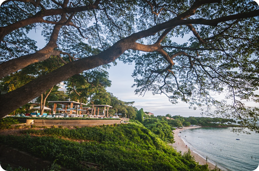 backstreet cafe & bar, backstreet house pattaya, black forest, breezebox cafe x cactus, cafe 2022, cafe 2023, cafe 2565, cafe 2566, cafe pattaya 2022, cafe pattaya 2023, cafe pattaya 2565, cafe pattaya 2566, castello di bellagio, cave beach club, dripoly, good old sea beach cafe, great&grand sweet destination, loaf baker & ฺbrewers, on ground cafe & farm, ordinary coffee, papa beach, papa beach pattaya, pastry addiction, s'more beach cafe x manual brewing bar, seaweed cafe, skoop beach cafe, somtavin cafe, summer house pattaya, tappia floating cafe pattaya, the lunar beach house, the sky gallery pattaya, treescape, tutu beach, under the sun, unnie pattaya, unnie 언니, whan cafe, whan milk bar & cafe, why specialty coffee, wonder bar, z beach, คาเฟ่, คาเฟ่ 2022, คาเฟ่ 2023, คาเฟ่ 2565, คาเฟ่ 2566, คาเฟ่ พัทยา 2023, คาเฟ่ พัทยา 2566, คาเฟ่ หมู่บ้านช้างพัทยา, คาเฟ่ ใกล้ฉัน, คาเฟ่ขนมหวานพัทยา, คาเฟ่ถ่ายรูปสวย พัทยา, คาเฟ่น่ารัก พัทยา, คาเฟ่พัทยา, คาเฟ่พัทยา 2022, คาเฟ่พัทยา 2565, คาเฟ่ใกล้ฉัน, ทูทู่บีช, ปาป้า บีช พัทยา, พัทยา, มองช้างคาเฟ่, มองช้างคาเฟ่ พัทยา, สมถวิล คาเฟ่, หวานคาเฟ่ พัทยา, เคปบีชคลับ, เคปบีชคลับ พัทยา, เดอะสกายแกลอรี่, เดอะสกายแกลอรี่ พัทยา, top 30+ คาเฟ่พัทยา [กรกฎาคม 2024] ตกแต่งเริ่ด มุมถ่ายรูปเพียบ แชะภาพได้รัว ๆ