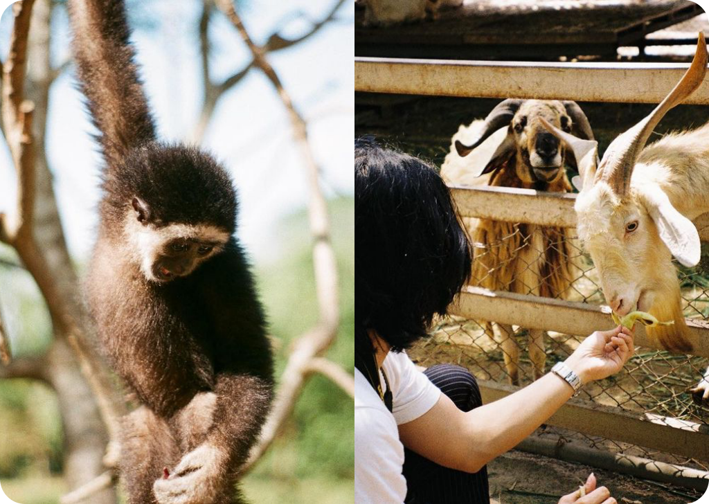 backstreet cafe & bar, backstreet house pattaya, black forest, breezebox cafe x cactus, cafe 2022, cafe 2023, cafe 2565, cafe 2566, cafe pattaya 2022, cafe pattaya 2023, cafe pattaya 2565, cafe pattaya 2566, castello di bellagio, cave beach club, dripoly, good old sea beach cafe, great&grand sweet destination, loaf baker & ฺbrewers, on ground cafe & farm, ordinary coffee, papa beach, papa beach pattaya, pastry addiction, s'more beach cafe x manual brewing bar, seaweed cafe, skoop beach cafe, somtavin cafe, summer house pattaya, tappia floating cafe pattaya, the lunar beach house, the sky gallery pattaya, treescape, tutu beach, under the sun, unnie pattaya, unnie 언니, whan cafe, whan milk bar & cafe, why specialty coffee, wonder bar, z beach, คาเฟ่, คาเฟ่ 2022, คาเฟ่ 2023, คาเฟ่ 2565, คาเฟ่ 2566, คาเฟ่ พัทยา 2023, คาเฟ่ พัทยา 2566, คาเฟ่ หมู่บ้านช้างพัทยา, คาเฟ่ ใกล้ฉัน, คาเฟ่ขนมหวานพัทยา, คาเฟ่ถ่ายรูปสวย พัทยา, คาเฟ่น่ารัก พัทยา, คาเฟ่พัทยา, คาเฟ่พัทยา 2022, คาเฟ่พัทยา 2565, คาเฟ่ใกล้ฉัน, ทูทู่บีช, ปาป้า บีช พัทยา, พัทยา, มองช้างคาเฟ่, มองช้างคาเฟ่ พัทยา, สมถวิล คาเฟ่, หวานคาเฟ่ พัทยา, เคปบีชคลับ, เคปบีชคลับ พัทยา, เดอะสกายแกลอรี่, เดอะสกายแกลอรี่ พัทยา, top 30+ คาเฟ่พัทยา [กรกฎาคม 2024] ตกแต่งเริ่ด มุมถ่ายรูปเพียบ แชะภาพได้รัว ๆ