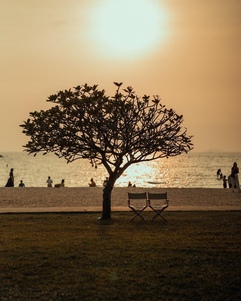 backstreet cafe & bar, backstreet house pattaya, black forest, breezebox cafe x cactus, cafe 2022, cafe 2023, cafe 2565, cafe 2566, cafe pattaya 2022, cafe pattaya 2023, cafe pattaya 2565, cafe pattaya 2566, castello di bellagio, cave beach club, dripoly, good old sea beach cafe, great&grand sweet destination, loaf baker & ฺbrewers, on ground cafe & farm, ordinary coffee, papa beach, papa beach pattaya, pastry addiction, s'more beach cafe x manual brewing bar, seaweed cafe, skoop beach cafe, somtavin cafe, summer house pattaya, tappia floating cafe pattaya, the lunar beach house, the sky gallery pattaya, treescape, tutu beach, under the sun, unnie pattaya, unnie 언니, whan cafe, whan milk bar & cafe, why specialty coffee, wonder bar, z beach, คาเฟ่, คาเฟ่ 2022, คาเฟ่ 2023, คาเฟ่ 2565, คาเฟ่ 2566, คาเฟ่ พัทยา 2023, คาเฟ่ พัทยา 2566, คาเฟ่ หมู่บ้านช้างพัทยา, คาเฟ่ ใกล้ฉัน, คาเฟ่ขนมหวานพัทยา, คาเฟ่ถ่ายรูปสวย พัทยา, คาเฟ่น่ารัก พัทยา, คาเฟ่พัทยา, คาเฟ่พัทยา 2022, คาเฟ่พัทยา 2565, คาเฟ่ใกล้ฉัน, ทูทู่บีช, ปาป้า บีช พัทยา, พัทยา, มองช้างคาเฟ่, มองช้างคาเฟ่ พัทยา, สมถวิล คาเฟ่, หวานคาเฟ่ พัทยา, เคปบีชคลับ, เคปบีชคลับ พัทยา, เดอะสกายแกลอรี่, เดอะสกายแกลอรี่ พัทยา, top 30+ คาเฟ่พัทยา [กรกฎาคม 2024] ตกแต่งเริ่ด มุมถ่ายรูปเพียบ แชะภาพได้รัว ๆ