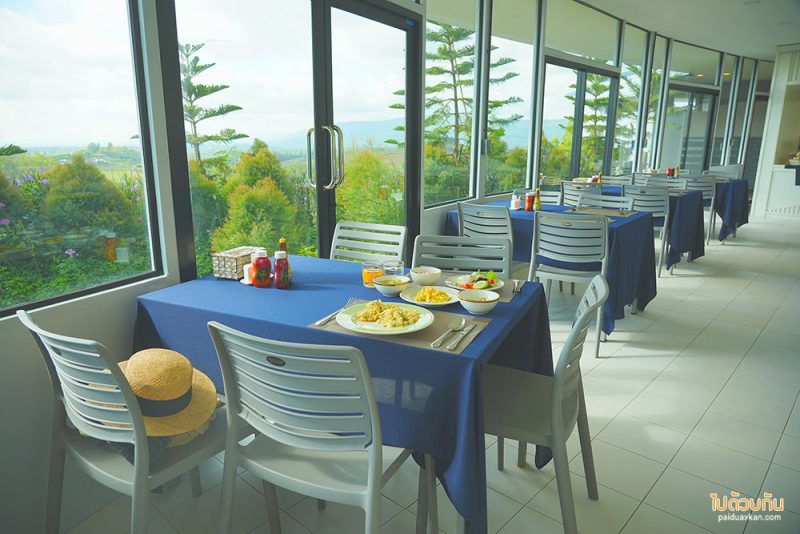 ที่พักเขาใหญ่, เที่ยวเขาใหญ่, คาเฟ่เขาใหญ่, the pandora camp เขาใหญ่, the pandora camp เขาใหญ่ ที่พัก คาเฟ่ตีมแวร์ซายสุดอลังการ