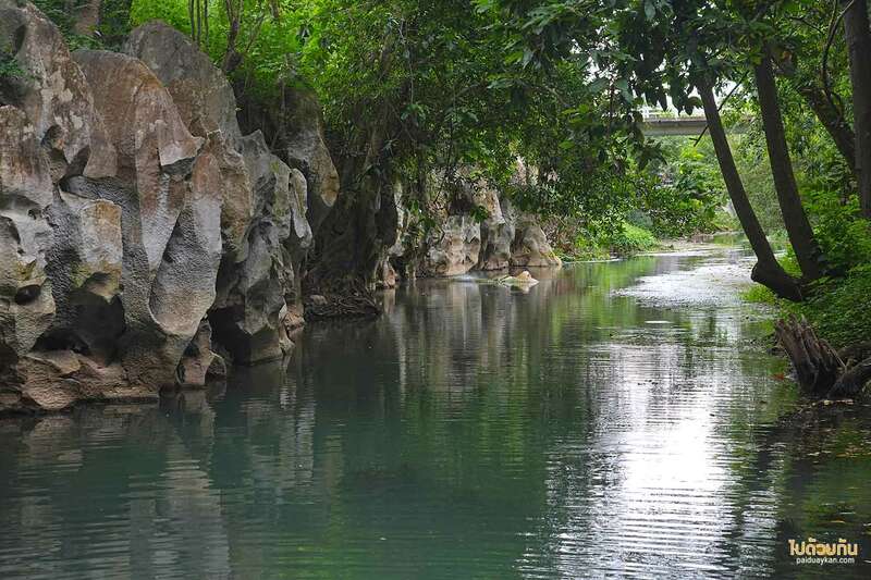 เที่ยวเขาใหญ่, เขาใหญ่, สระน้ำผุดเขาใหญ่, คคาเฟ่ใกล้สระน้ำผุดเขาใหญ่, บ่อน้ำผุด เขาใหญ่ เล่นน้ำคลายร้อน นั่งชิลริมสระ