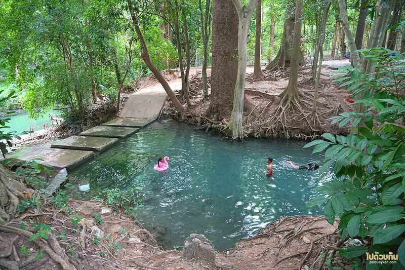 เที่ยวเขาใหญ่, เขาใหญ่, สระน้ำผุดเขาใหญ่, คคาเฟ่ใกล้สระน้ำผุดเขาใหญ่, บ่อน้ำผุด เขาใหญ่ เล่นน้ำคลายร้อน นั่งชิลริมสระ