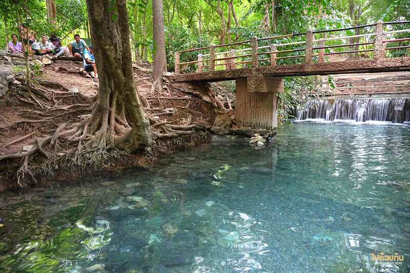 เที่ยวเขาใหญ่, เขาใหญ่, สระน้ำผุดเขาใหญ่, คคาเฟ่ใกล้สระน้ำผุดเขาใหญ่, บ่อน้ำผุด เขาใหญ่ เล่นน้ำคลายร้อน นั่งชิลริมสระ