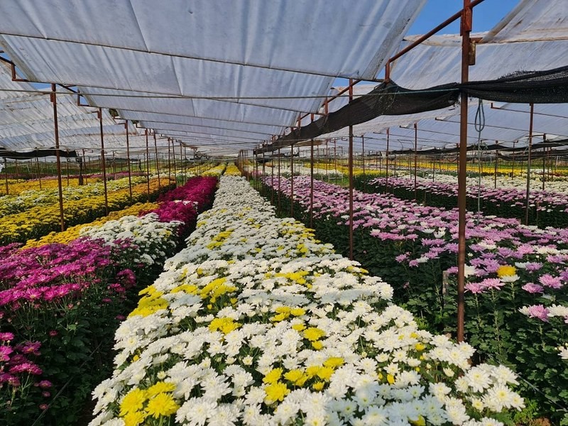 สระบุรี, top 14+ ที่เที่ยวสระบุรี 2567 ที่เที่ยวมวกเหล็ก แก่งคอย เที่ยวชมธรรมชาติ น้ำตก เช็คอินคาเฟ่