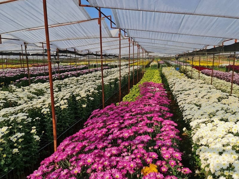 สระบุรี, top 14+ ที่เที่ยวสระบุรี 2567 ที่เที่ยวมวกเหล็ก แก่งคอย เที่ยวชมธรรมชาติ น้ำตก เช็คอินคาเฟ่