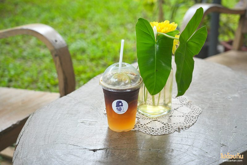 แม่แจ่ม, คาเฟ่แม่แจ่ม, pema cafe คาเฟ่แม่แจ่ม ในบ้านไม้สุดโฮมมี่