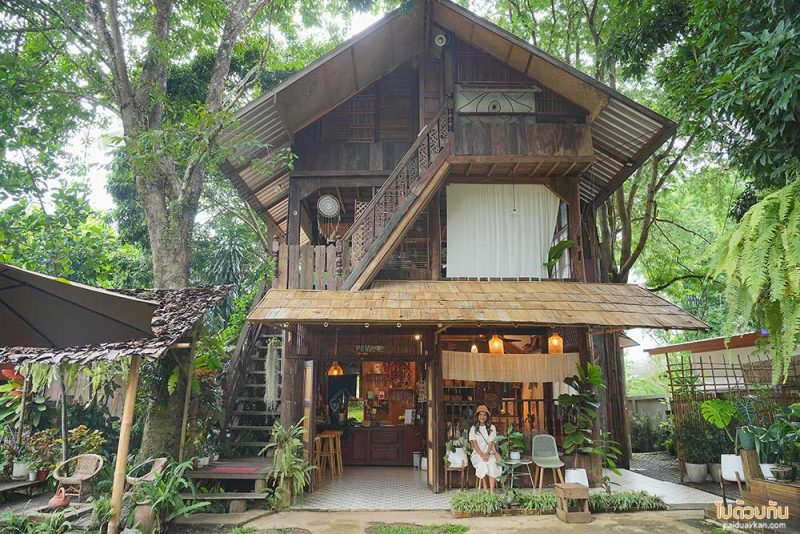 แม่แจ่ม, คาเฟ่แม่แจ่ม, pema cafe คาเฟ่แม่แจ่ม ในบ้านไม้สุดโฮมมี่