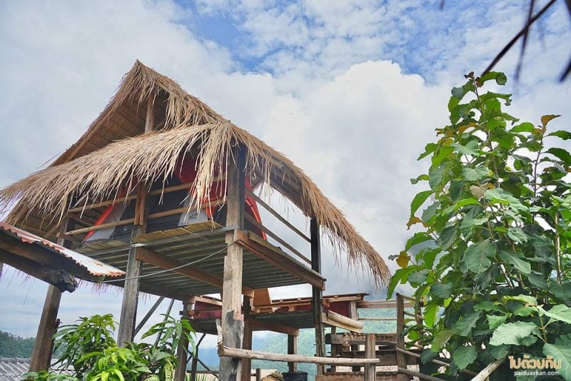 เที่ยวเชียงดาว, บ้านสายหมอก เชียงดาว, ที่พักบ้านนาเลา, บ้านระเบียงดาว, ชมหมอก เคียงดอยหลวง @บ้านสายหมอก