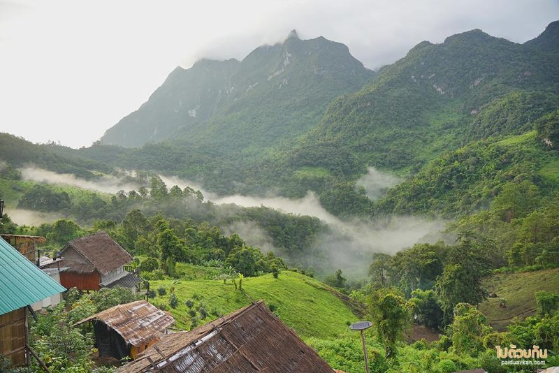 เที่ยวเชียงดาว, บ้านสายหมอก เชียงดาว, ที่พักบ้านนาเลา, บ้านระเบียงดาว, ชมหมอก เคียงดอยหลวง @บ้านสายหมอก