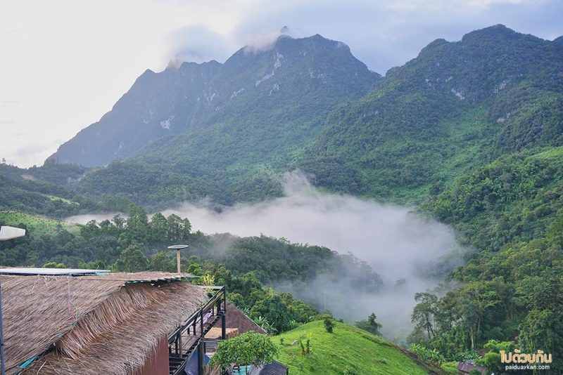 เที่ยวเชียงดาว, บ้านสายหมอก เชียงดาว, ที่พักบ้านนาเลา, บ้านระเบียงดาว, ชมหมอก เคียงดอยหลวง @บ้านสายหมอก