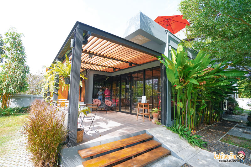 เที่ยวทับสะแก, ร้านกาแฟทับสะแก, cafe’ de field ทับสะแก