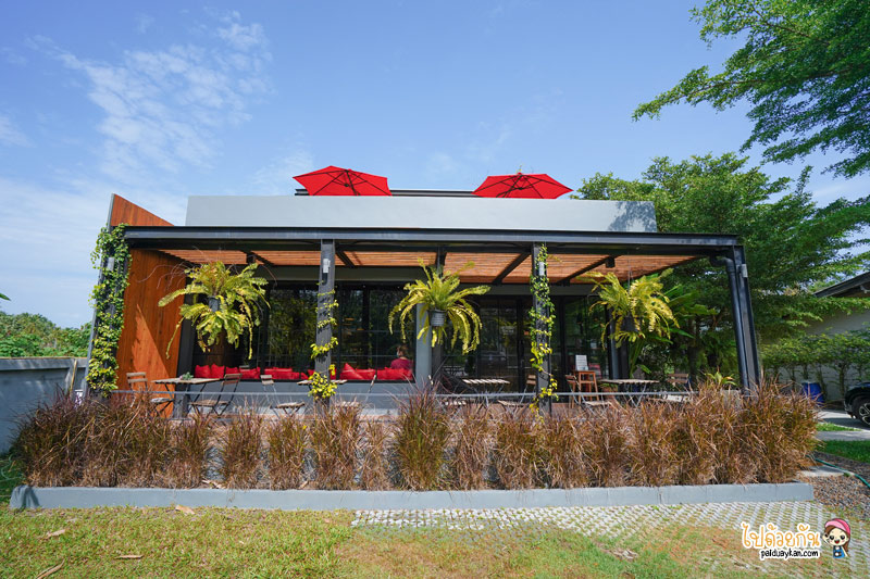 เที่ยวทับสะแก, ร้านกาแฟทับสะแก, cafe’ de field ทับสะแก