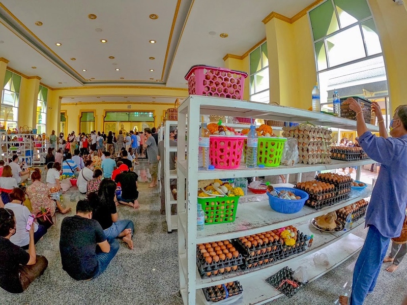 mini murrah farm, minizoo, sea walk, คุ้มวิมานดิน, ฉะเชิงเทรา, ฉะเชิงเทรา 2566, ตลาด 2 จังหวัด, ตลาดคลองสวน, ตลาดน้ำบางคล้า, ตลาดบ้านใหม่, ตลาดบ้านใหม่ 100 ปี, ตลาดบ้านใหม่ เมืองแปดริ้ว, ตลาดเก่าคลองสวน, ตลาดเก่าคลองสวน 100 ปี, ที่เที่ยวฉะเชิงเทรา, ที่เที่ยวฉะเชิงเทรา 2023, ที่เที่ยวฉะเชิงเทรา 2024, ที่เที่ยวฉะเชิงเทรา 2566, ที่เที่ยวฉะเชิงเทรา 2567, ที่เที่ยวแปดริ้ว, น้ำตกฉะเชิงเทรา, น้ำตกบ่อทราย, บ้านบางพุทรา, บ้านสวนเมล่อน, ปั้นดินเหนียวฉะเชิงเทรา, พระมหาเจดีย์สแตนเลส, พระอุโบสถแก้วกลางน้ำ, ฟาร์มนก ฉะเชิงเทรา, มินิมูร่าฟาร์ม, รังนกแลนด์ by นกแปดริ้ว, วัดกลางน้ำ, วัดปากน้ำโจ้โล้, วัดป่าเขาล้อม, วัดพระพิฆเนศองค์ใหญ่, วัดวีระโชติธรรมาราม, วัดสมานรัตนาราม, วัดหงษ์ทอง, วัดหลวงพ่อโสธร, วัดหัวสวน, วัดโพรงอากาศ, วัดโสธรวรารามวรวิหาร, สวนปาล์มฟาร์มนก, หลวงพ่อพันปีศรีตะเคียนทอง, หลวงพ่อพุทธโสธร, หลวงพ่อโสธร, องค์พระพิฆเนศปางนอนเสวยสุข, อ่างเก็บน้ำคลองสียัด, อ่างเก็บน้ำเขื่อนระบม, อ่างเก็บน้ำเขื่อนระบมทะเลน้ำจืด, อุโบสถสีทอง, อุโบสถสแตนเลส, ฮอลลีวูดบ้านนา บ้านบางพุทรา, เขื่อนคลองสียัด, เที่ยวฉะเชิงเทรา, เที่ยวฉะเชิงเทรา 2023, เที่ยวฉะเชิงเทรา 2024, เที่ยวฉะเชิงเทรา 2567, เที่ยวแปดริ้ว, แปดริ้ว, top 20+ ที่เที่ยวฉะเชิงเทรา [กรกฎาคม 2024] เที่ยววัด ชมธรรมชาติ เดินตลาด เมืองแปดริ้ว